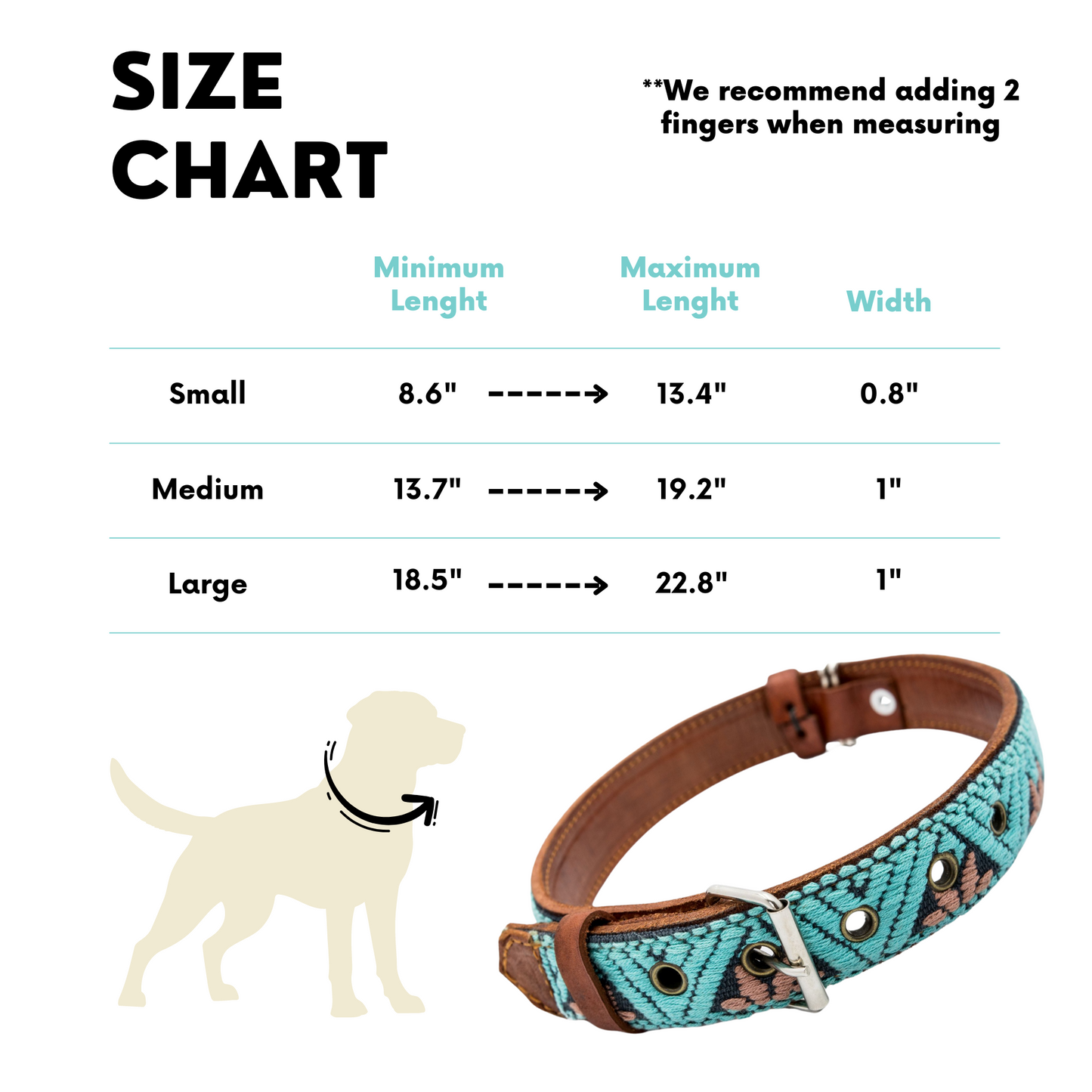 Leather Dog Collar - Teal