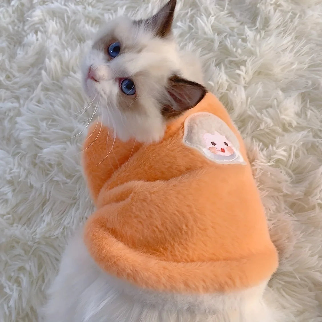 Warm & Stylish Cat Sweater for Winter Comfort