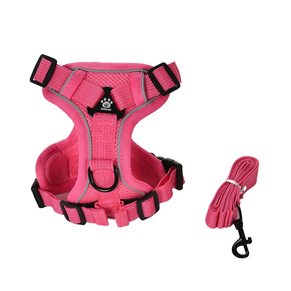 Secure escape proof cat harness with leash for outdoor adventures