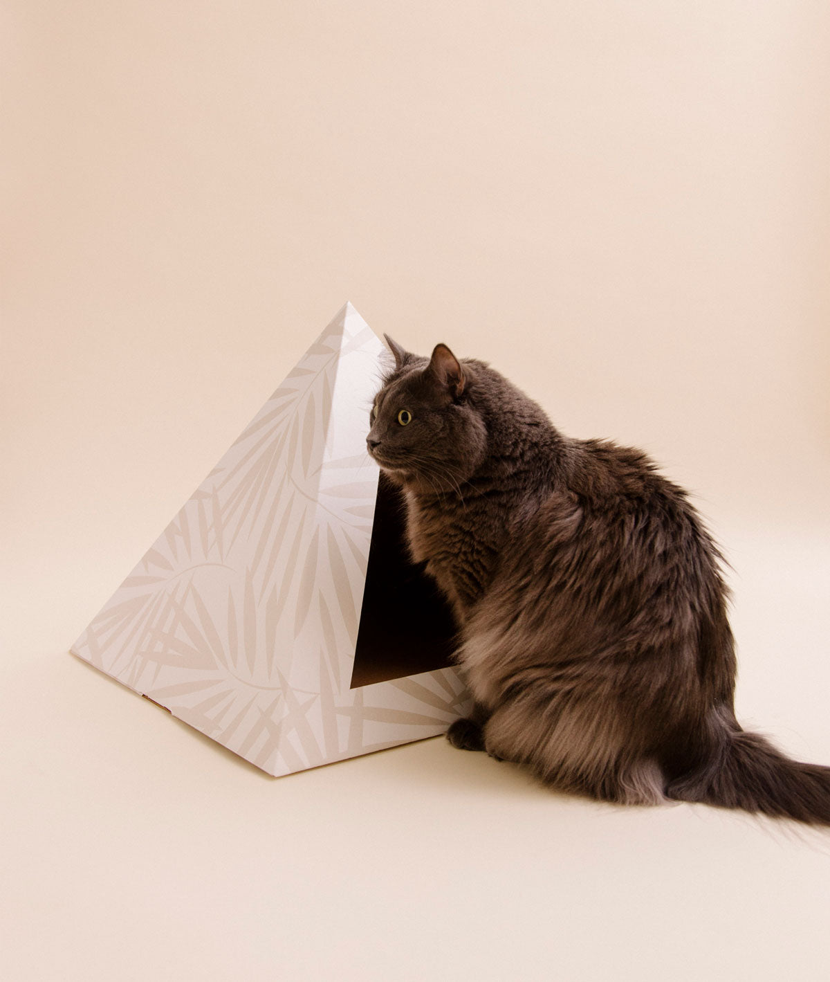 'Neutral Palm' Cardboard Cat Pyramid