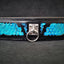 The ''Morelia Python'' collar