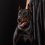 The ''Rock Python'' collar