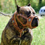 The "Eros" muzzle brown