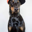 ''Black Giant'' collar
