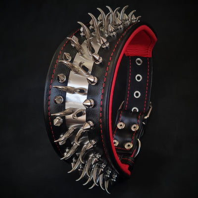 Set collar and leash. spikes & stainless steel, 2.8 inch wide. Made in Europe!