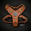The ''Maximus'' harness brown & silver Small to Medium Size
