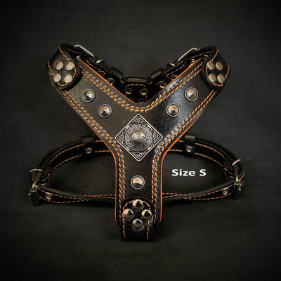 The ''Eros'' harness Black & Orange Small to Medium Size