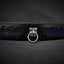 The ''Indigo'' collar