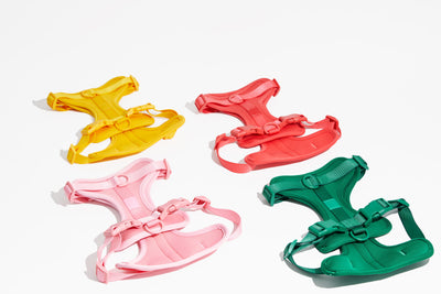 Luxe Harness - Palma