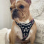 The ''Ariel'' harness Small to Medium Size