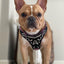 The ''Ariel'' harness Small to Medium Size