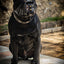 ''Aztec'' Basket Muzzle Black