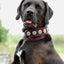 "Bijou" collar black & red