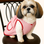 🇲🇽 Dogñitas – The Abuelita Mandil for Your Pup 🐶