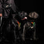 The ''D`Albertis'' harness LIMITED