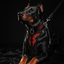 The ''Red Dragon'' harness