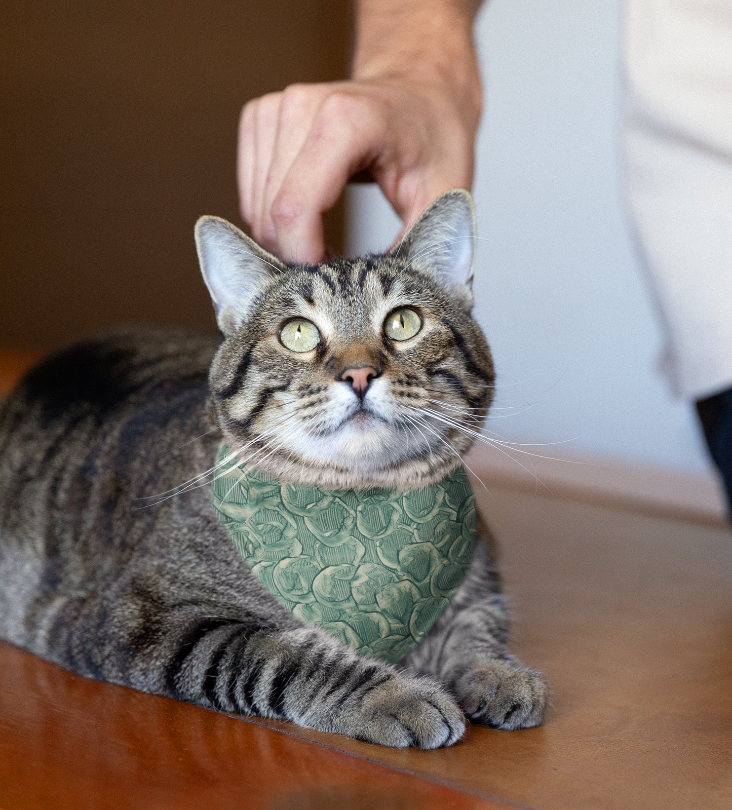 Sebastian & Clementine Green Paint Bandana Collar for Dogs and Cats