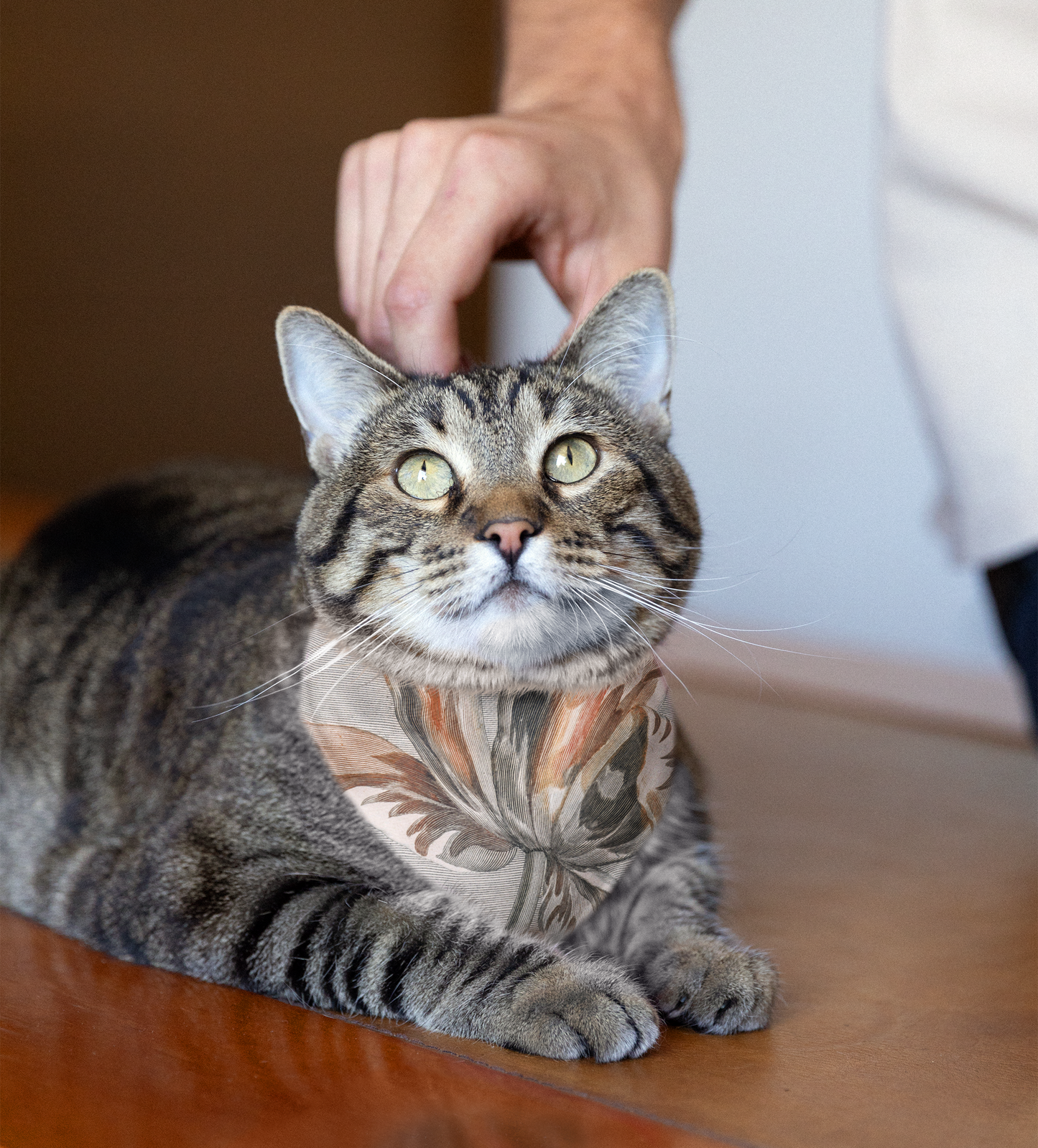 Sebastian & Clementine Tulip Bandana Collar for Dogs and Cats