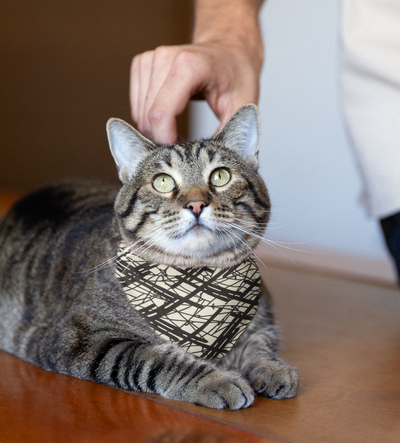 Sebastian & Clementine Abstract Lines Bandana Collar for Dogs and Cats