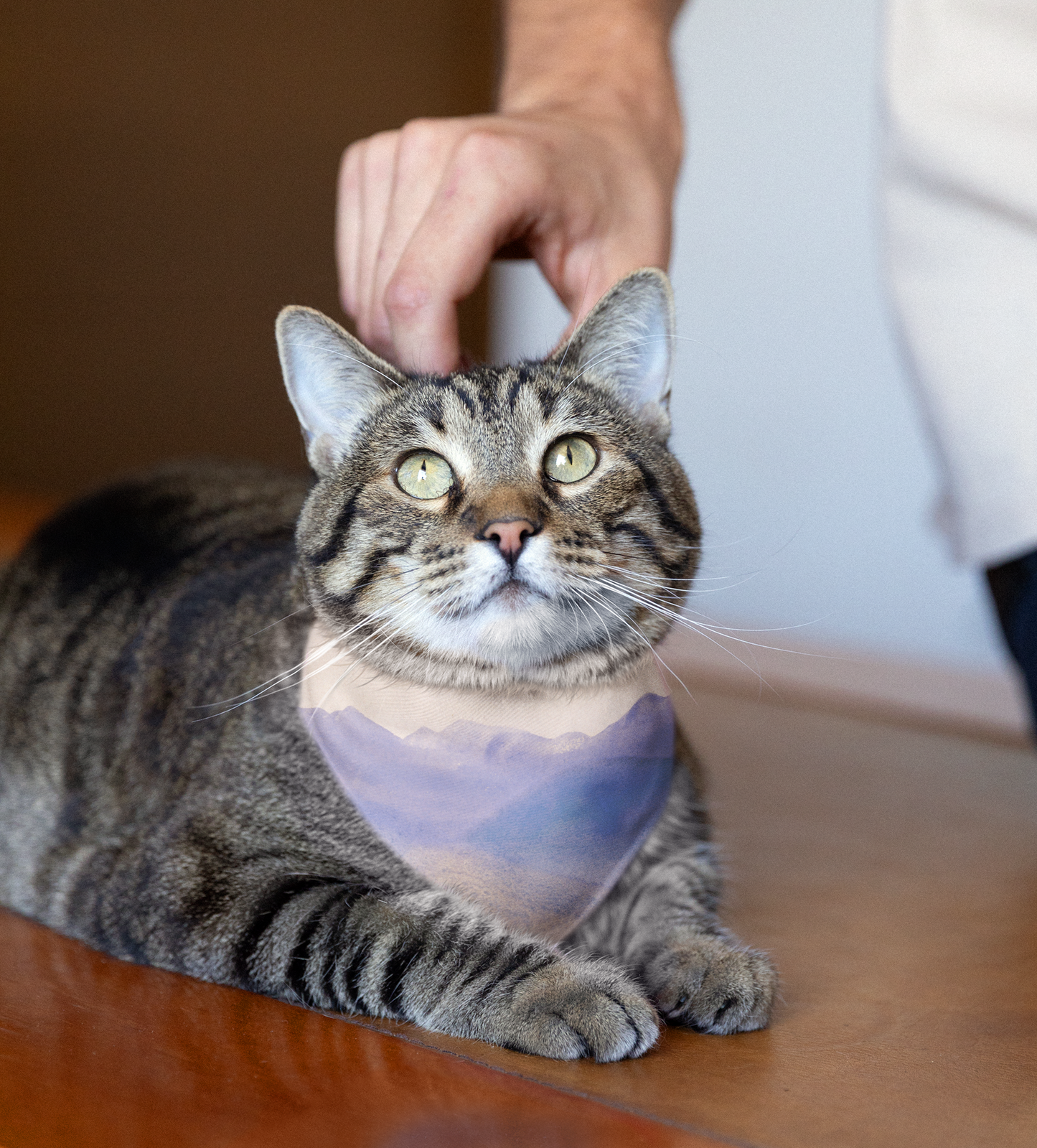 Sebastian & Clementine Purple Mountains Bandana Collar for Dogs and Cats