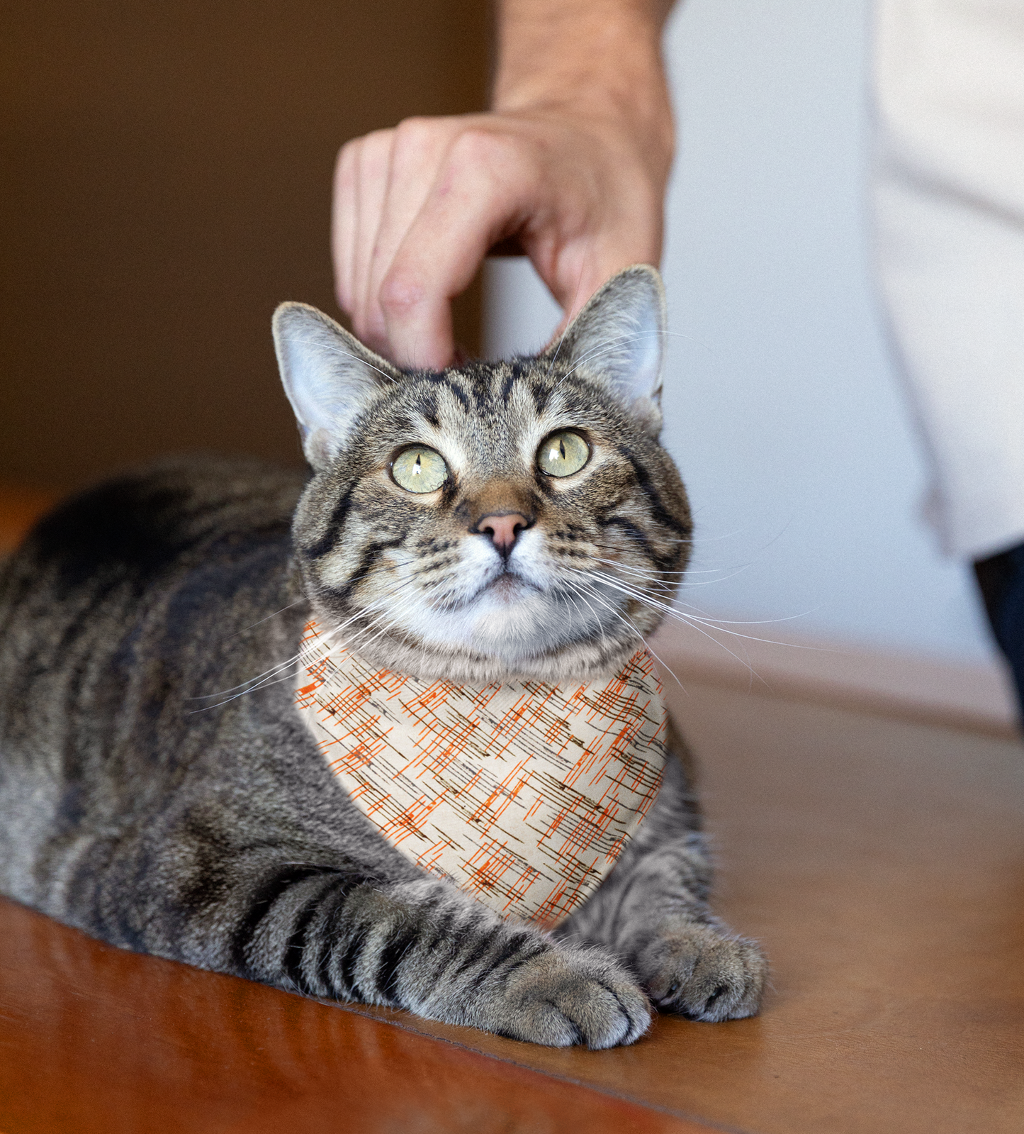 Sebastian & Clementine Lines Bandana Collar for Dogs and Cats