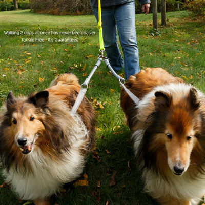 2 Dogs on 1 Leash - CRAZYcoupl'r
