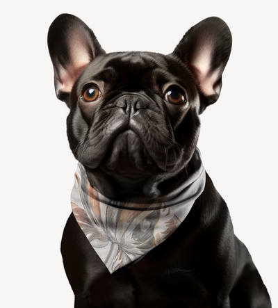 Sebastian & Clementine Tulip Bandana Collar for Dogs and Cats