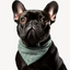 Sebastian & Clementine Green Paint Bandana Collar for Dogs and Cats
