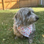 Tie-on Dog Bandana | Adjustable String-tie Bandana for Dogs and Cats