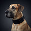 Black ''Crown'' soft leather dog collar