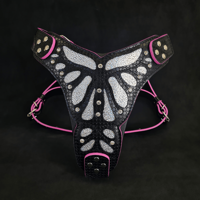 The ''Ariel'' harness