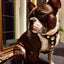 The ''Bijou'' harness Black & Orange Small to Medium Size