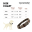 Leather Dog Collar - Bronze Olive