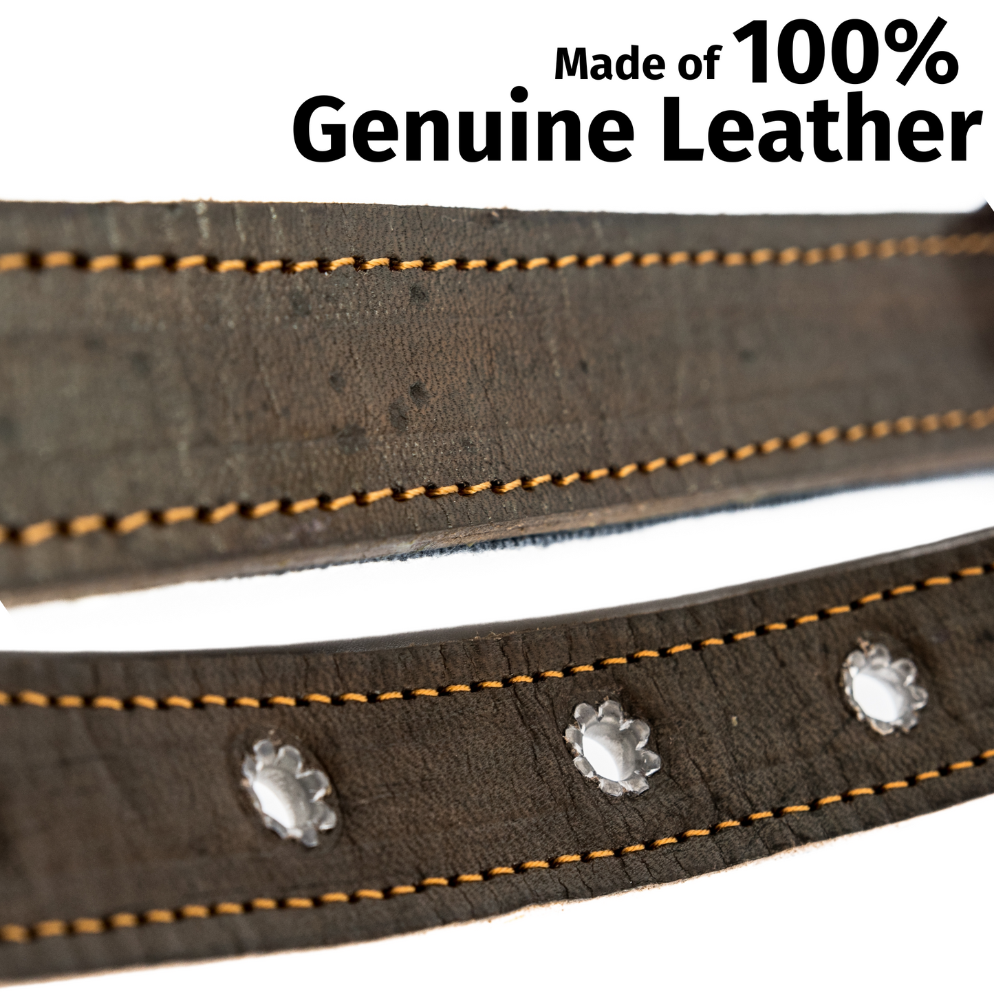 Leather Dog Collar - Ceramic Cello
