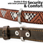 Leather Dog Collar - Brown Rust