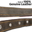 Leather Dog Collar - Brown Rust