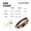 Leather Dog Collar - Baja White