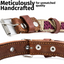 Leather Dog Collar - Baja White