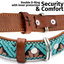 Leather Dog Collar - Teal