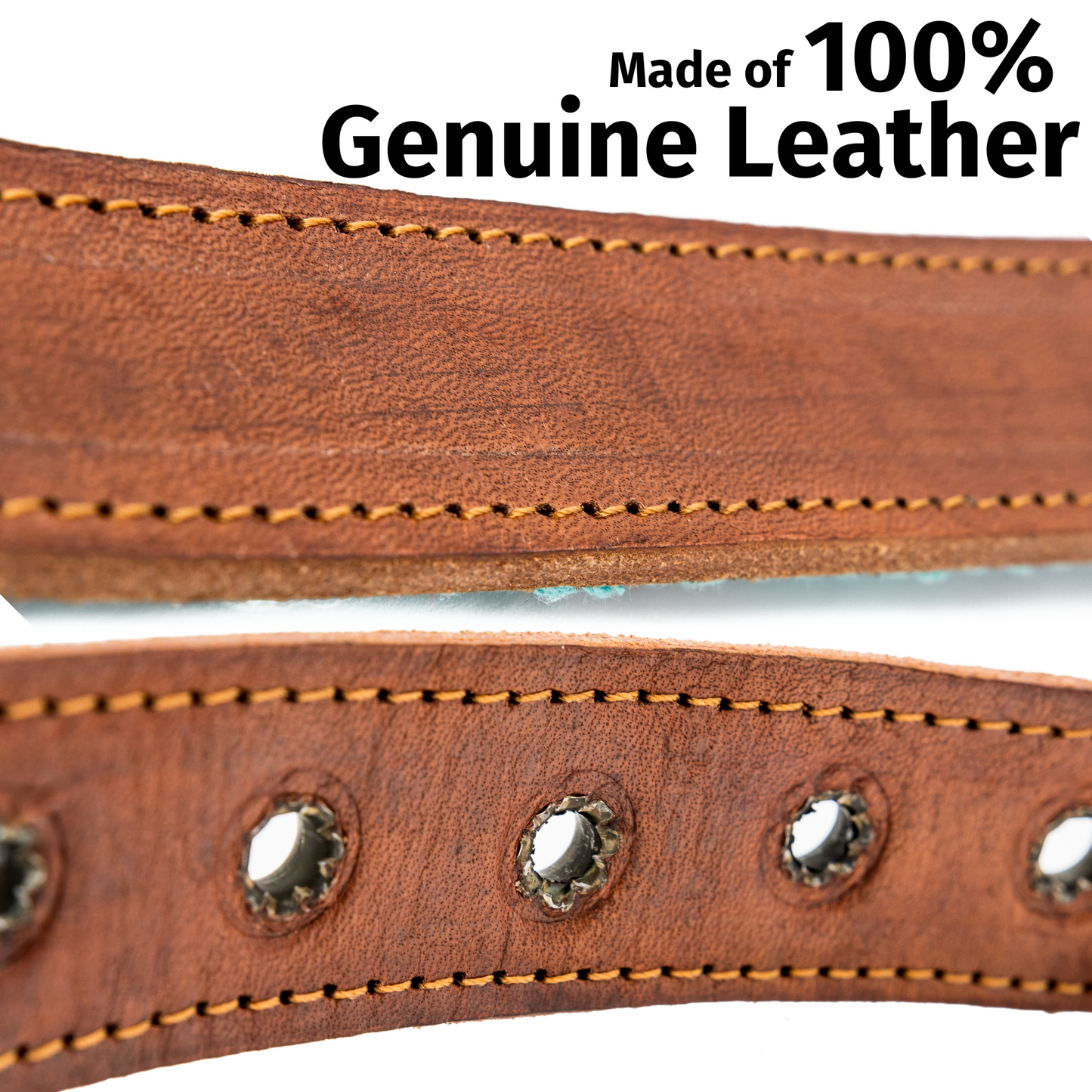 Leather Dog Collar - Teal