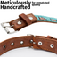 Leather Dog Collar - Teal