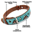 Leather Dog Collar - Teal