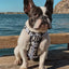 Polka Dog X-Fit Harness