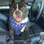Extra-Furrestrial Reversible Harness