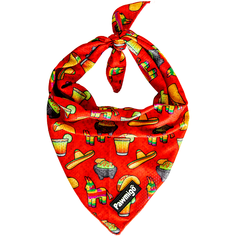 Taco Tuesday Cooling Bandana