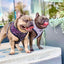 Polka Dog Reversible Harness