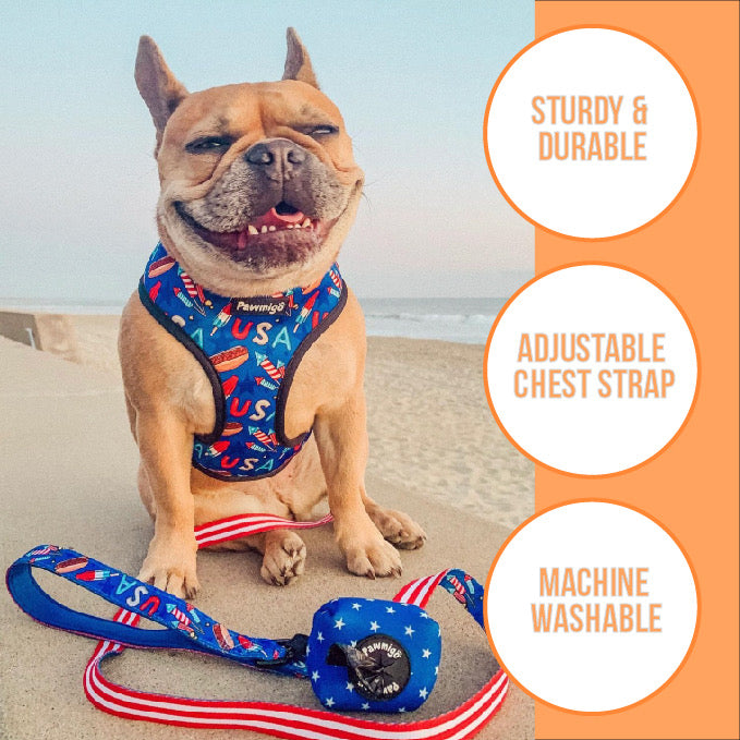Chasing Rainbows Reversible Harness