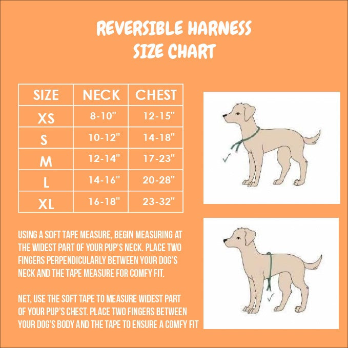 Chasing Rainbows Reversible Harness