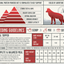 Grain-Free Beef Freeze-Dried Raw Adventure Fuel (Dog Food)