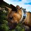 The "Metal" collar White & Gold- personalized!